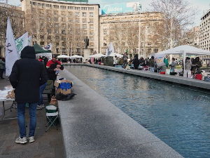 Скуп "Заједно за студенте" у Београду – наставак прикупљања потписа за расписивање ванредних парламентарних избора