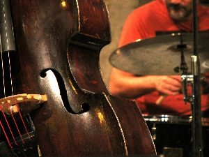 Блуз – Howell Devine