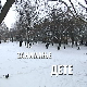 Занимање дете: Ања Алексић