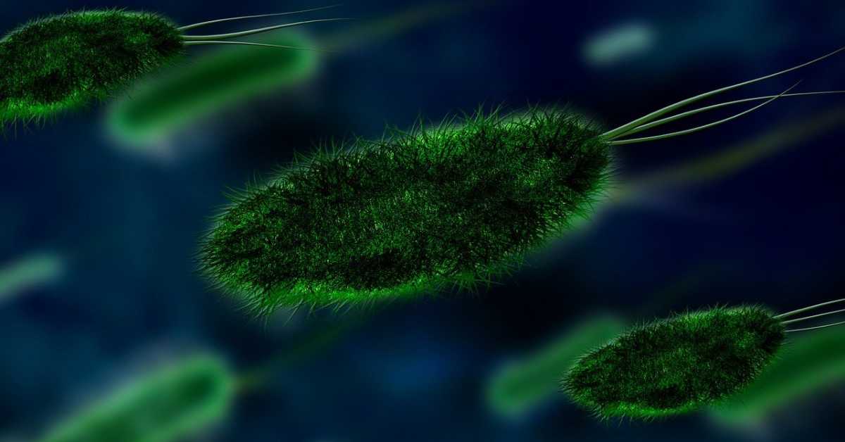 Мали корак за бактерије, али... Шта се то важно десило са микробима у свемиру