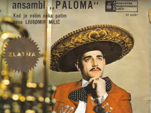 Портрет – Квартет Палома