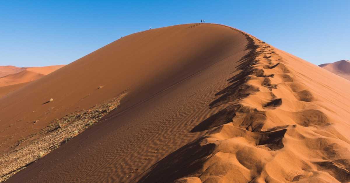 Зрно који недостаје  - живе у пустињи, а увозе песак 