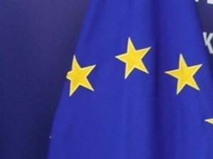 Делегација Европске уније о локалним изборима 