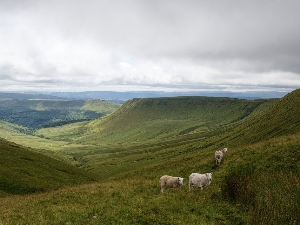 Jужнa Индијa