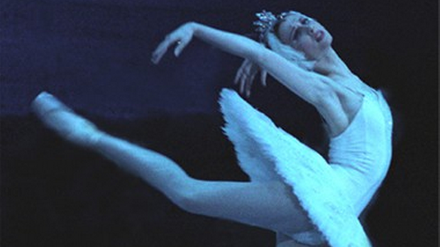 Светлана Захарова и пријатељи, 1. део 