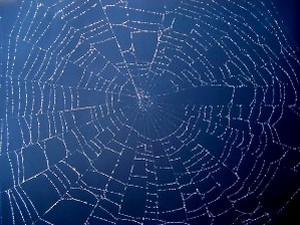 Жељко Ђорђевић: Девети тест