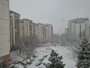 Киша прешла у снег, крупне пахуље прекривају Београд