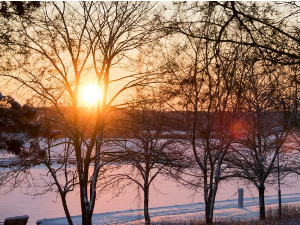 Еколошки магазин