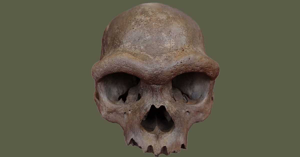 Како смо 2025. почели да решавамо једну од највећих мистерија људске еволуције