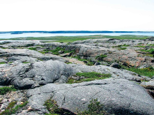 Злато цури из Земљиног језгра и друге невероватне ствари које смо сазнали о планети 2025. године