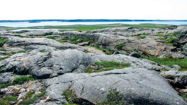 Злато цури из Земљиног језгра и друге невероватне ствари које смо сазнали о планети 2025. године