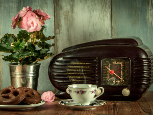 Азбука евергрина – Gigliola Cinqueti