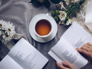 Весна Парун: ,,Опирање доколици"