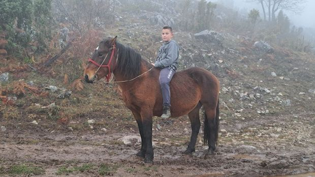 Кућа у Србији имање у Црној Гори