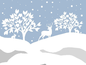 На Бадње вече