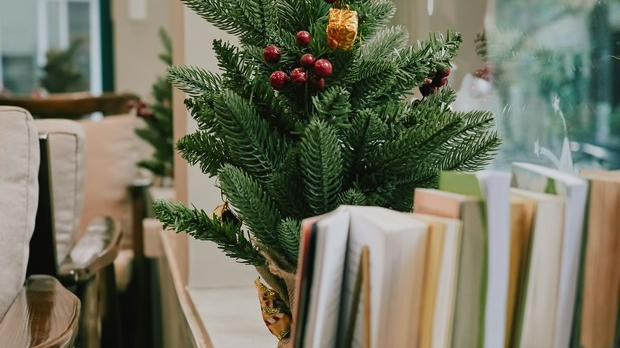 Бесмртне лудости и Двокрилно огледало  