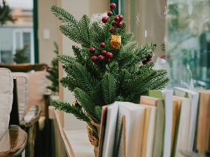 Бесмртне лудости и Двокрилно огледало  