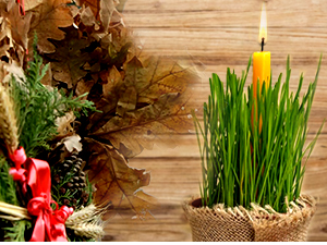 Бадњи дан и Бадње вече – традиција, обичаји и значење бадњака и сламе