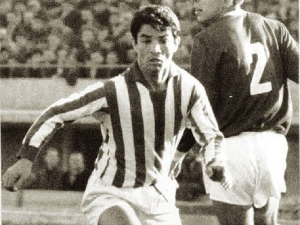 Сећање на Драгослава Шекуларца - фудбалског уметника и другу "Звездину звезду“