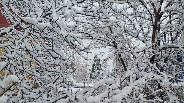 Свети Сава и светосавље – путеводитељи и извориште свих наших токова   