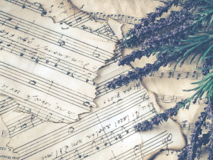 Музика за позориште проф. Зорана Ерића