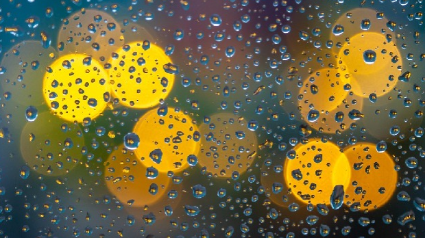 Корак ка науци