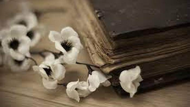 Од злата јабука: Српска лирска поезија у стиховима народних песама