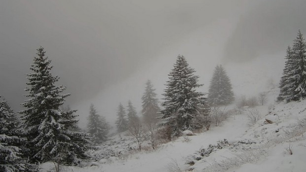 Божићна идила, али проблеми због падавина