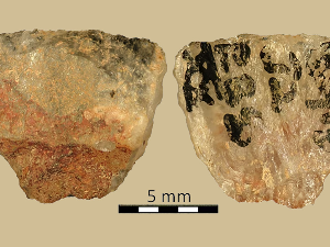 Отровне стреле коришћене су за лов пре 60.000 година