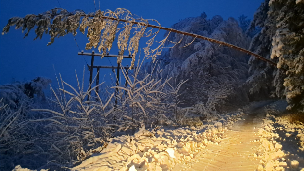 Ледени дани у Србији, најтеже у Лозници, ванредна ситуација у девет општина; проблеми са струјом, водом и грејањем
