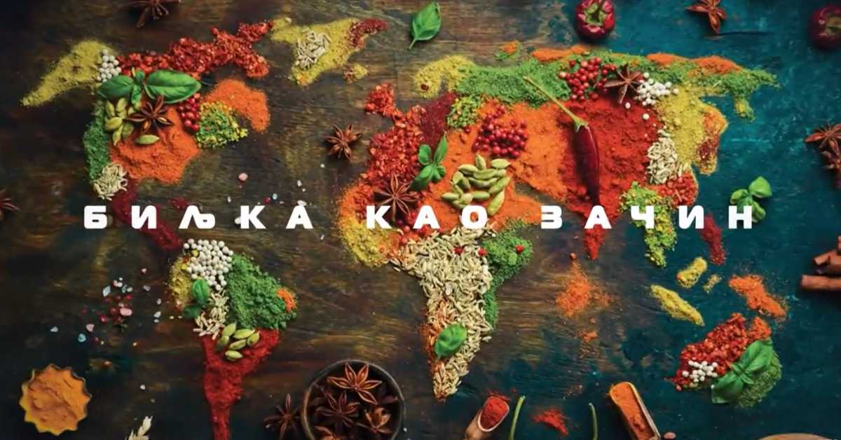 Наука 2024: Биљка као зачин