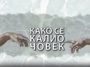 Како се калио човек: Александар Лазић