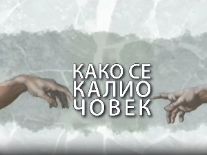 Како се калио човек: Аја Јунг