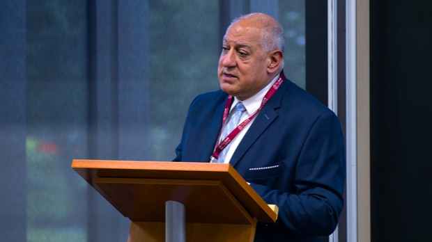 Romano Them: Будућност ромског језика између заборава и очувања