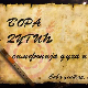 Симфонија духа и даха