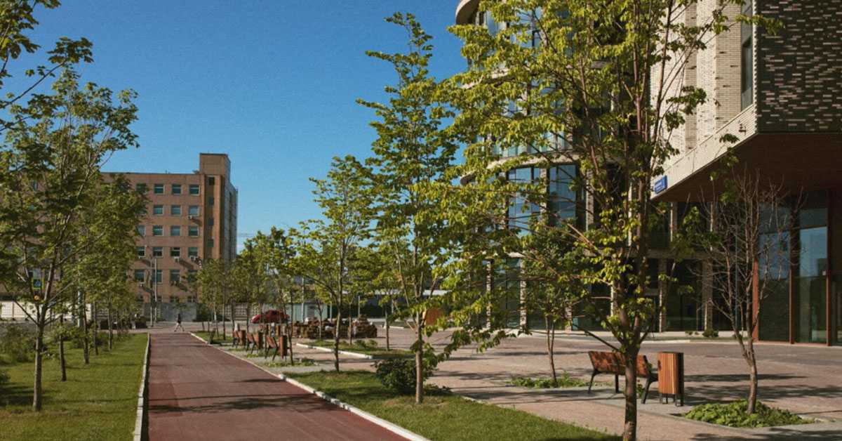 Вечита борба зеленила и бетона у градовима – ко ће победити