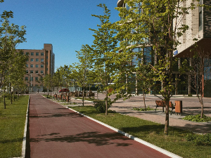 Вечита борба зеленила и бетона у градовима – ко ће победити