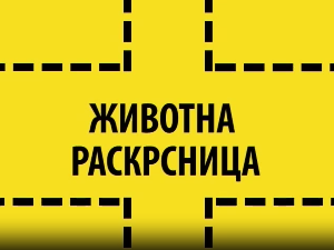 Животна раскрсница:	Социјална фобија