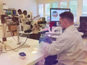 Наука 2024: Нова ласерска технологија у офтамологији