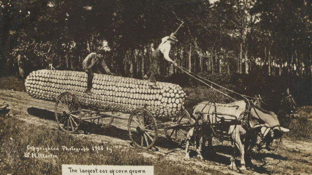 Фотографије су нас лагале и много пре вештачке интелигенције 