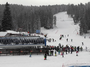 Куда за празнике и распуст?