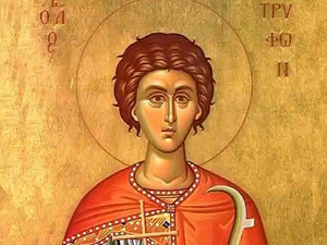 Свети Трифун –  празник лозе, вина и наде у родну годину