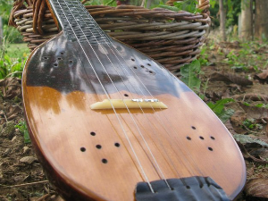 Тамбурица златна жица