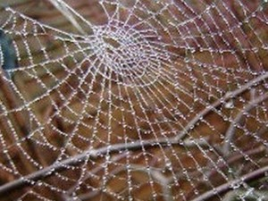 Душан Ристић: Венеција, година нулта