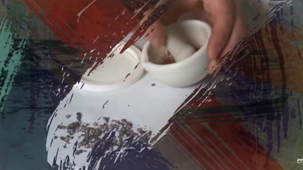 Од пигмента до концепта: Које је боје боја? (R)