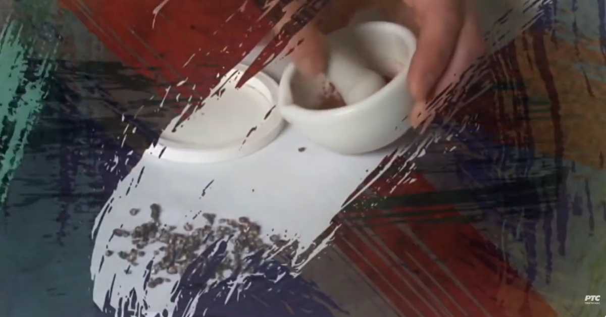 Од пигмента до концепта: Које је боје боја?