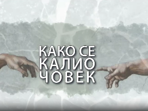 Како се калио човек: Андреа Арсовић