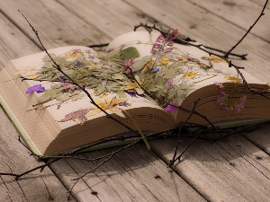 Горан Бабић: ,,Мој језик"