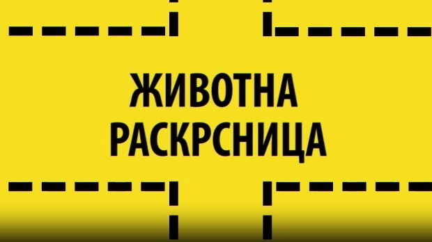 Животна раскрсница: Ја, анорексија