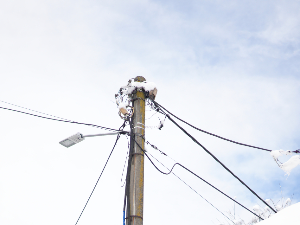 Месаровић: Уредно снабдевање струјом успостављено у целој земљи